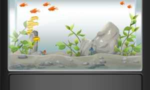 aquarium